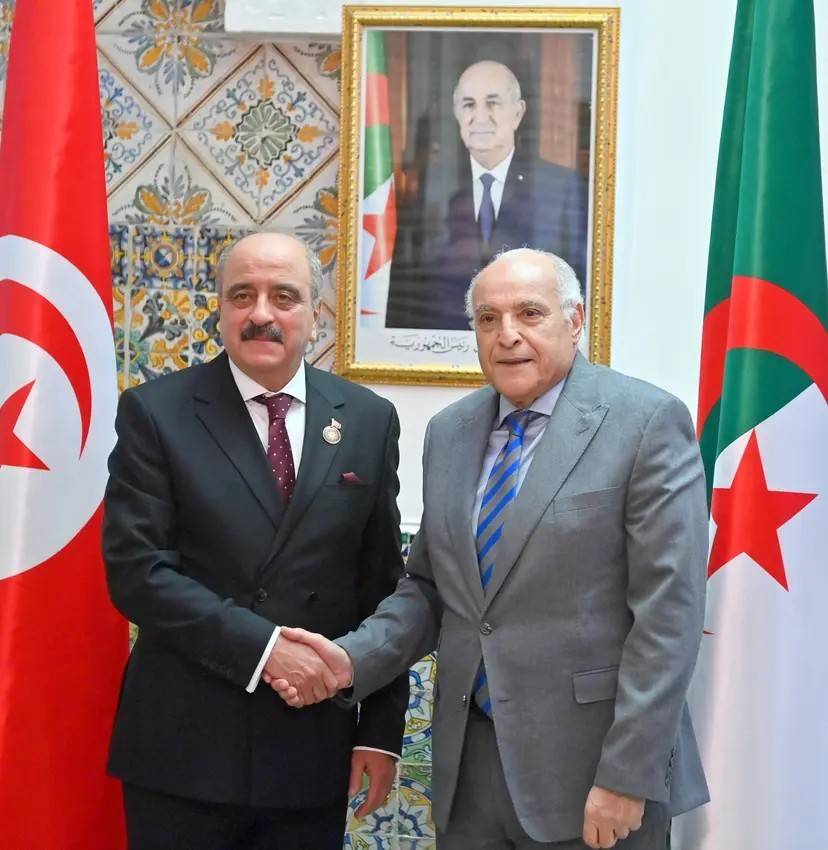 The Minister of State, Minister of Foreign Affairs, National Community Abroad and African Affairs holds bilateral talks with his Tunisian counterpart